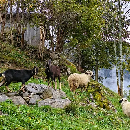 Panoramahof Bergglück