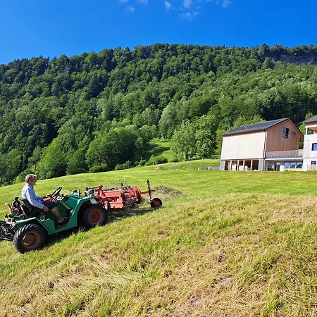 Apartment Panoramahof Bergglück Mellau