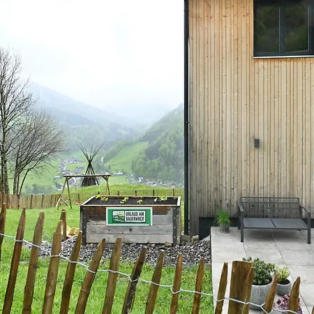 Panoramahof Bergglück * Mellau