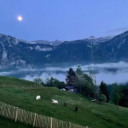 Panoramahof Bergglueck 公寓