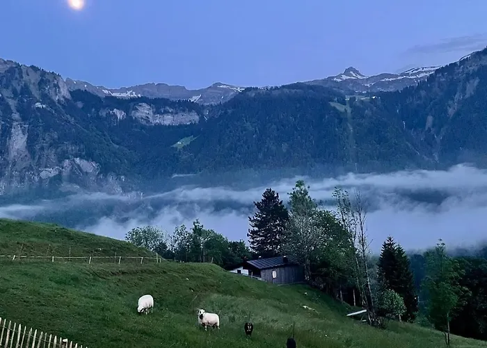 Panoramahof Bergglueck شقة